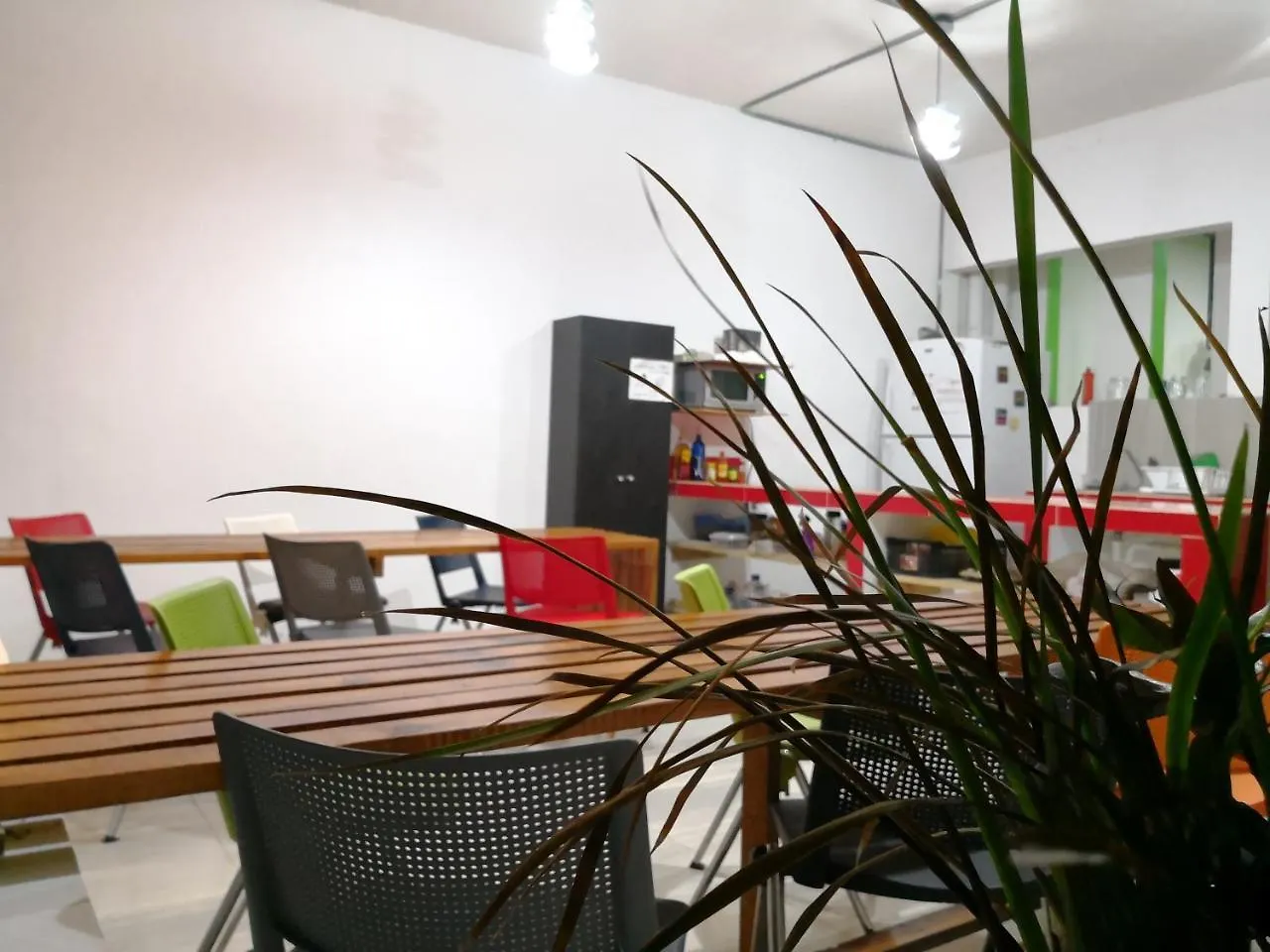 Hostal Kaban 44 Hotel Playa del Carmen