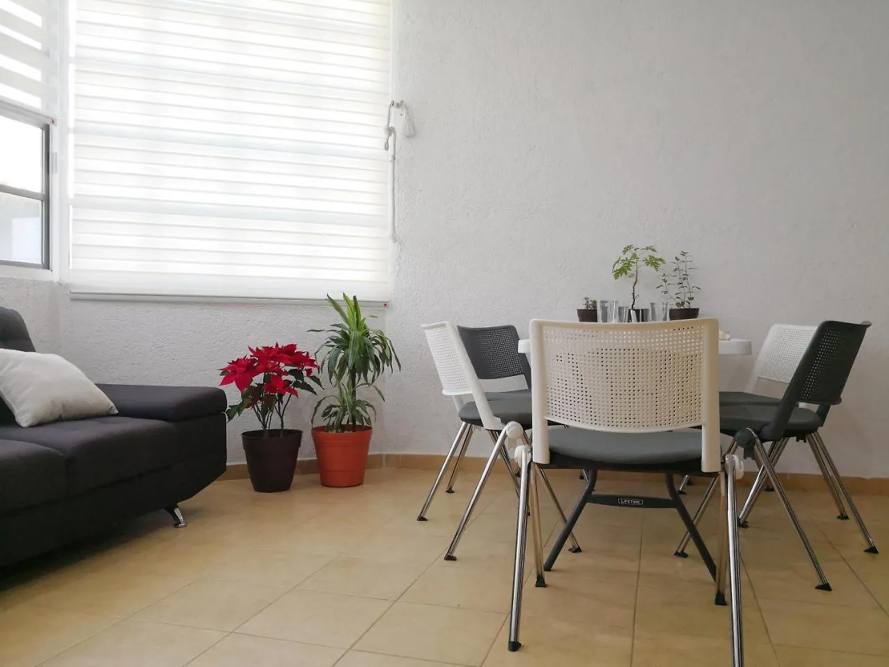 Kaban 44 Hotel Playa del Carmen 0*,